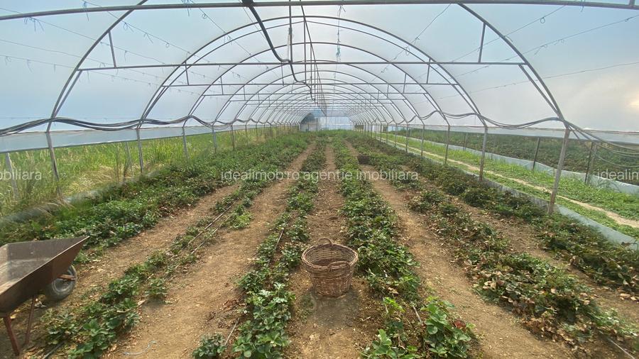 Teren extravilan S= 5000 mp, Udeni-Zavoi, Arges - 2