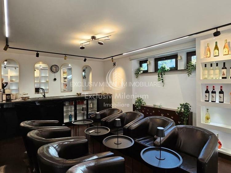 Vila Exclusivista Cișmigiu  - Stirbei Voda Birouri - 12