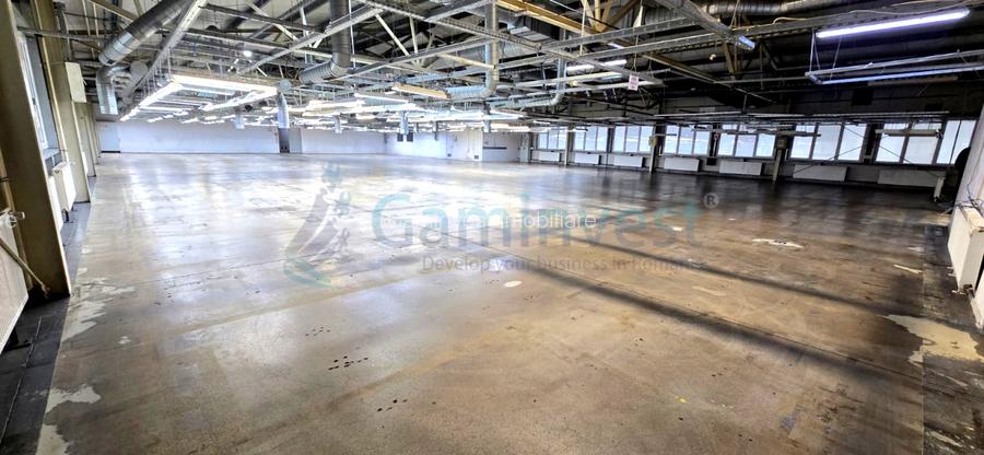 Hala de inchiriat in Marghita pentru productie si depozitare, Bihor - 6