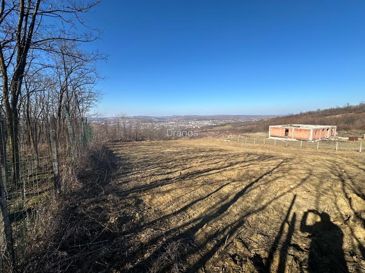 Teren interval Vladiceni  - 6