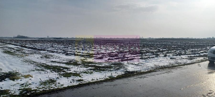 Cosoba, teren 7600 mp intravilan pe str Guliei - 3