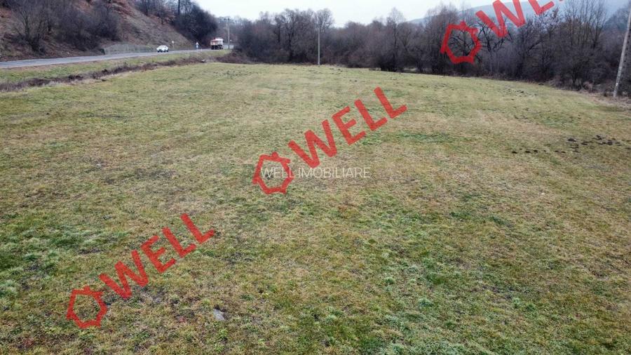 De vânzare teren extravilan de 10.900 metri pătrați în Micfalău. - 7