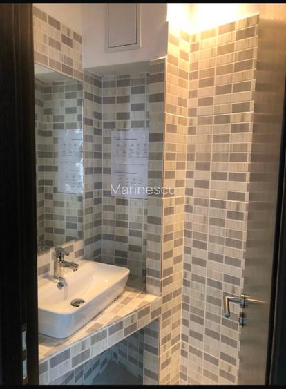 Piata Unirii Bd Coposu  Spatiu birou in cladire moderna  - 6