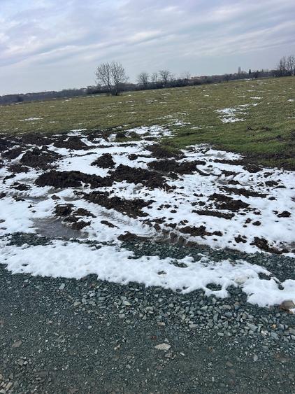 Inravilan, P+2+M,, 1245 mp, se poate dezmembra in 2 loturi, negociabil  - 3