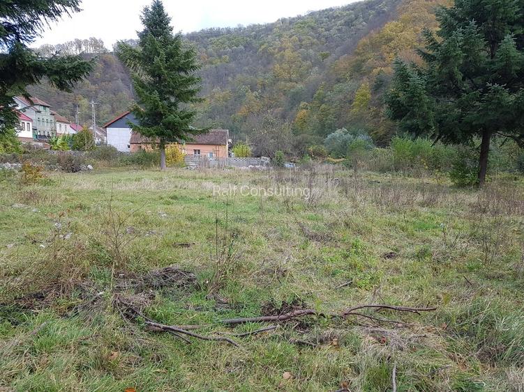 Teren intravilan ideal si de investitie, in Loc. Resita, strada Ciresului - 10