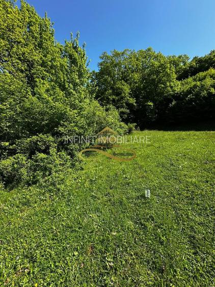 Teren intravilan de vanzare 1439 mp Luncani strada Slatinei - Bacau - 9