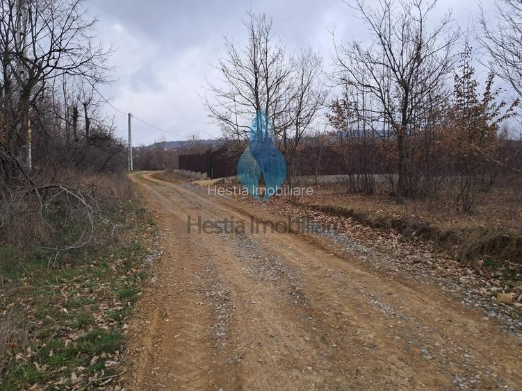 1644mp teren intravilan pentru constructii, Barnova. - 2