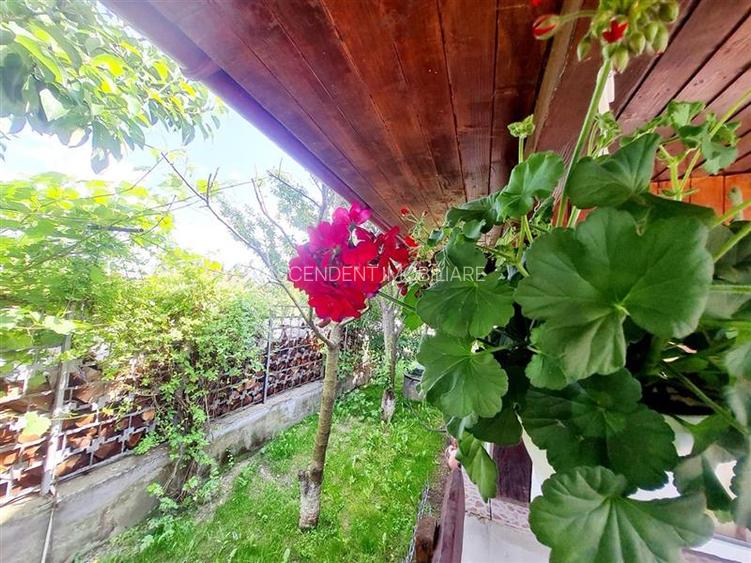 Vila luminoasa, gradina proprie, priveliste panoramica spre munti, Harman, Braso - 18