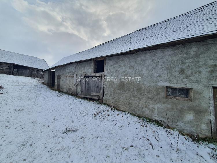 Casa singur în curte - 5