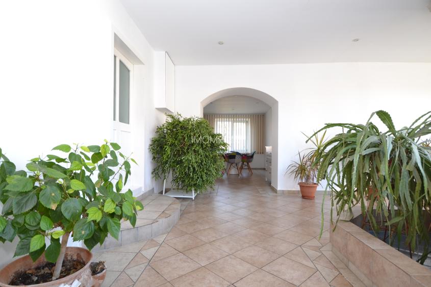 casa cu teren de 5165 mp, in Becicherecu Mic ,la artera principala - 14