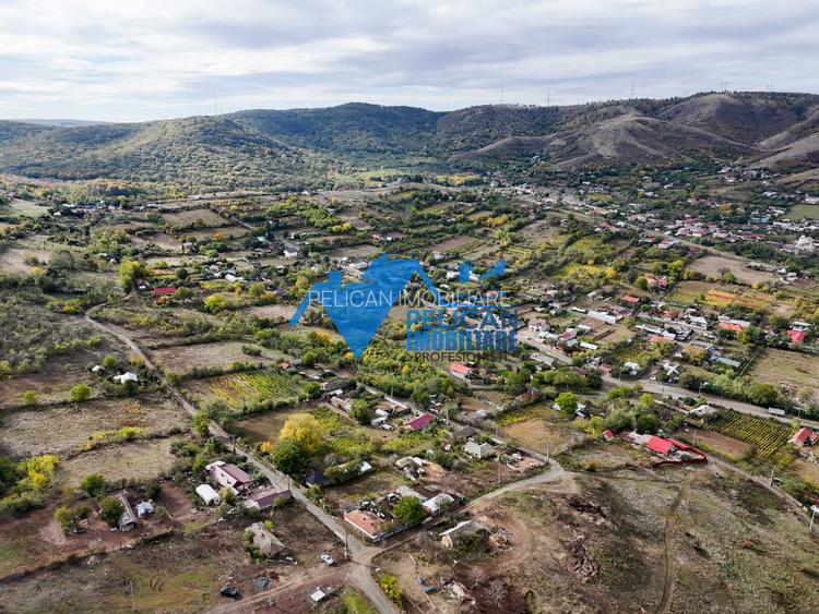 Teren intravilan NICULITEL, zona deosebita, 3044MP - 11