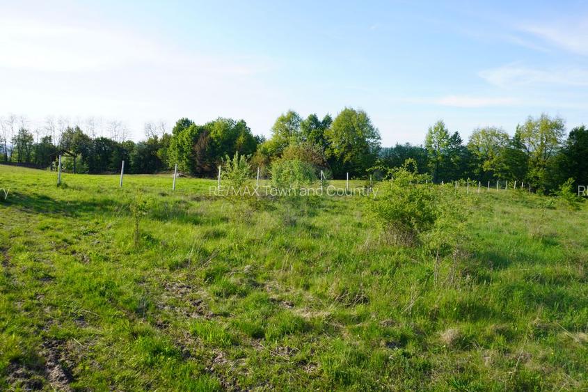 Teren 38,592mp Sighetu Marmatiei / Strada Mocăniței - 7