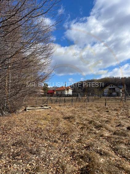 Teren Cicanesti Arges, la 10 KM de Transfagarasan - Comision 0% - 2