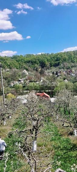 Casă cu teren de vânzare  - 4
