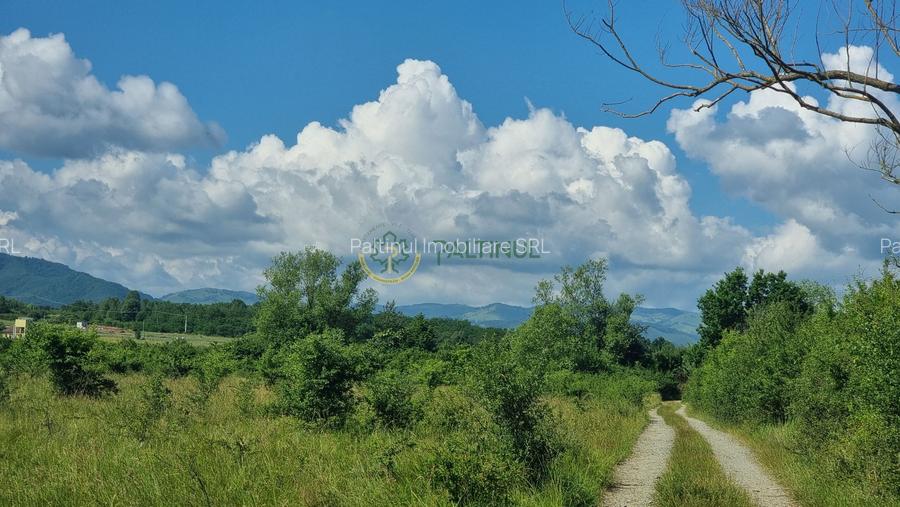 Teren de vânzare în Calea Cisnădiei, Sibiu – 550 mp, PUZ aprobat, vedere superbă - 2