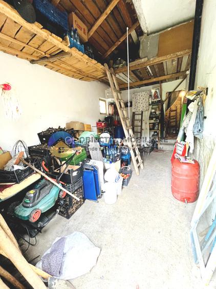 CASA  comuna ALEXANDRU cel BUN - VIISOARA - 13