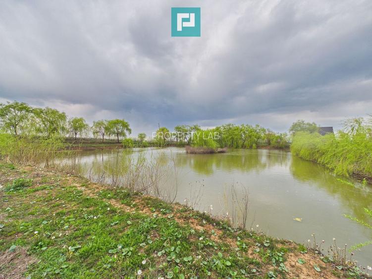 Teren 1 ha cu baltă populată – Alioș (Mașloc) - 2