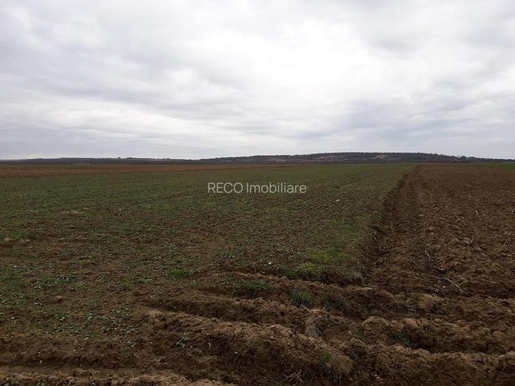 RECO Teren in Santandrei 29 100mp - 3