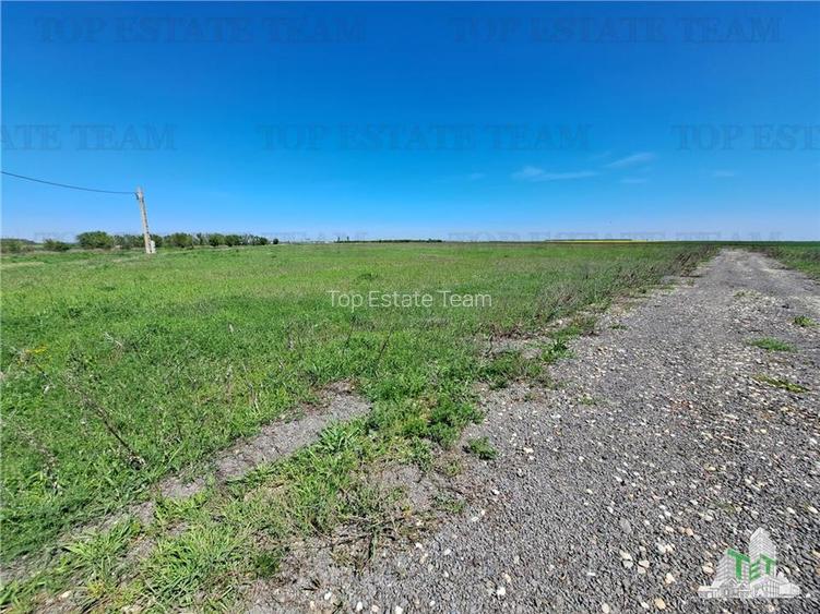 Loturi teren de vanzare Branesti/Vadu Anei - 10