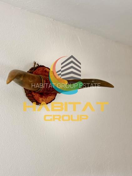 Inchiriere Apartament 2Camere Sector 4 Constanin Brancoveanu - 12