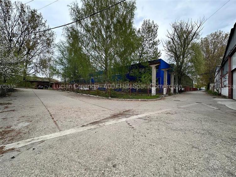 Hala productie, depozitare Vaslui, 5132mp - 5