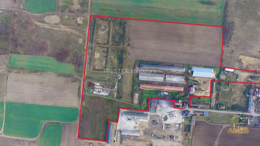 Domeniu - Centru de colectare, 7 ha de vanzare in Valea lui Mihai - 7