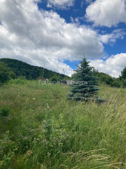 Teren Alexandru Cel Bun - 2