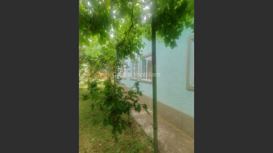 Casa Baicoi zona Schela - 16