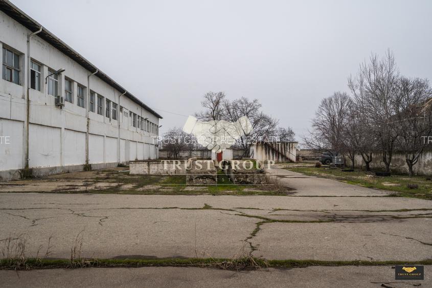 Teren 28.788m + Hale industriale + Sediu Firma  - 29