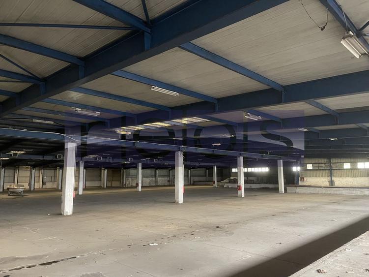 HALA | DEPOZIT - OTOPENI CENTURA  |  20.0000 MP - 20