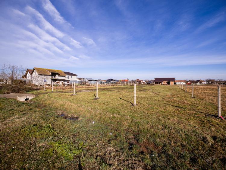 Teren 1028 mp Sanandrei, strada asfaltata – Comision 0% - 19