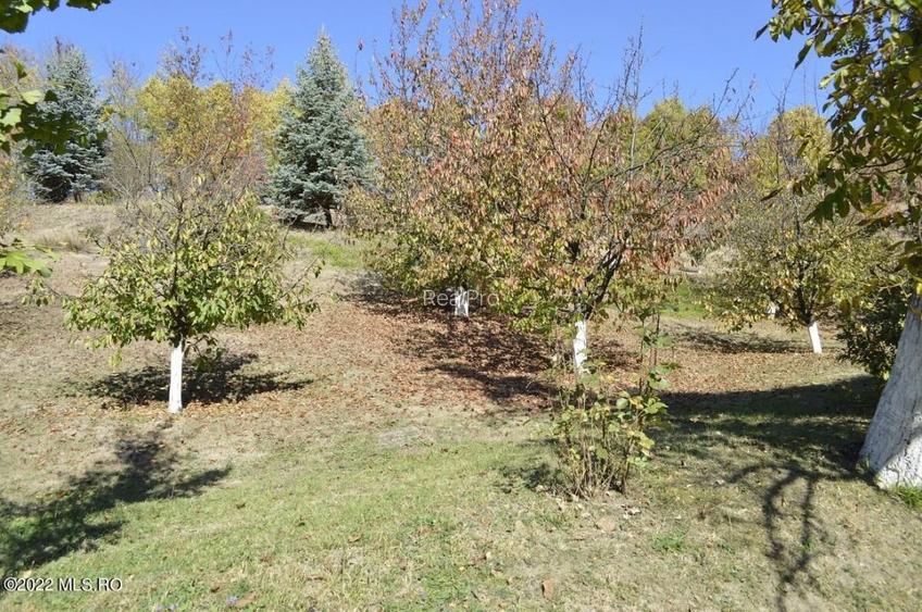 Topoloveni - Conacul Ion Mihalache, Domeniu pe 5 Hectare! - 39