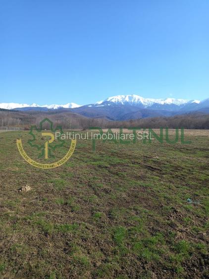 Vindem teren Sibiu, Valea Lupului, priveliste deosebita - 2