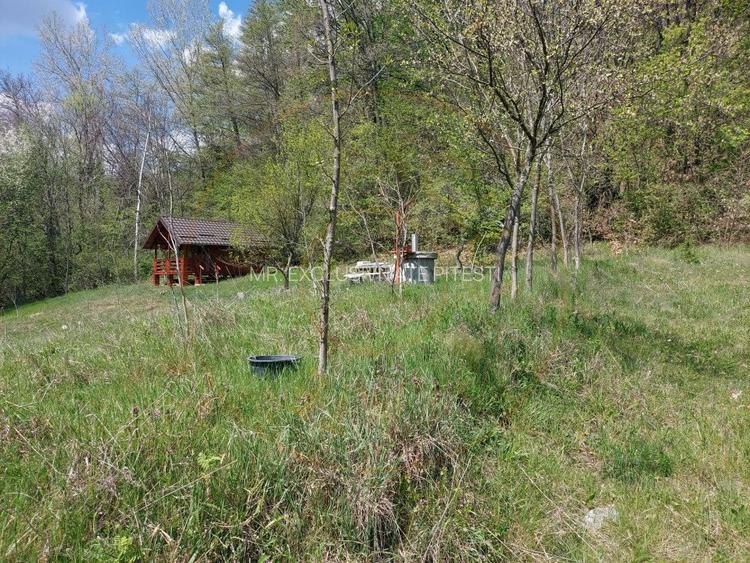 Casa imbratisata de padure + cabanuta de vara - Valea Ursului, Bascov - 16