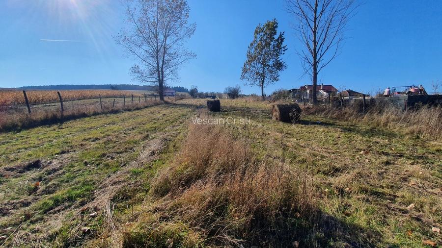 Vand teren intravilan Salistea Veche cu CF - 4