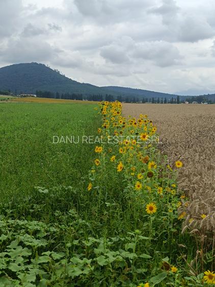 Brașov Bartolomeu,str Cucului , Intravilan 16.500 mp, dezvoltare rezidentiala - 5