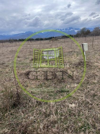 Exclusivitate! Teren intravilan, ttrifazic 44kw, urbanism, toate avizele luate! - 3