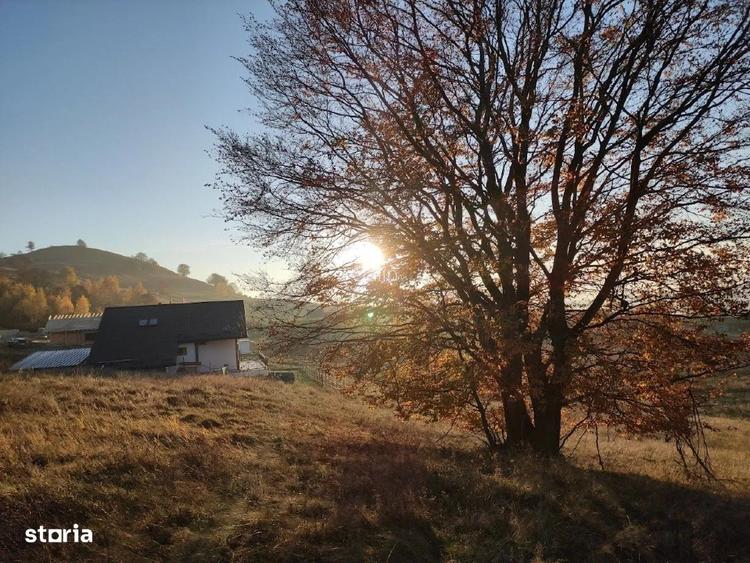 PF Vand Teren Intravilan Salicea - 100Euro/mp - 2