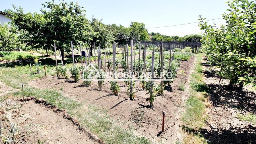 Teren intravilan 1.300 mp.zona Belvedere Targu Mures - 2