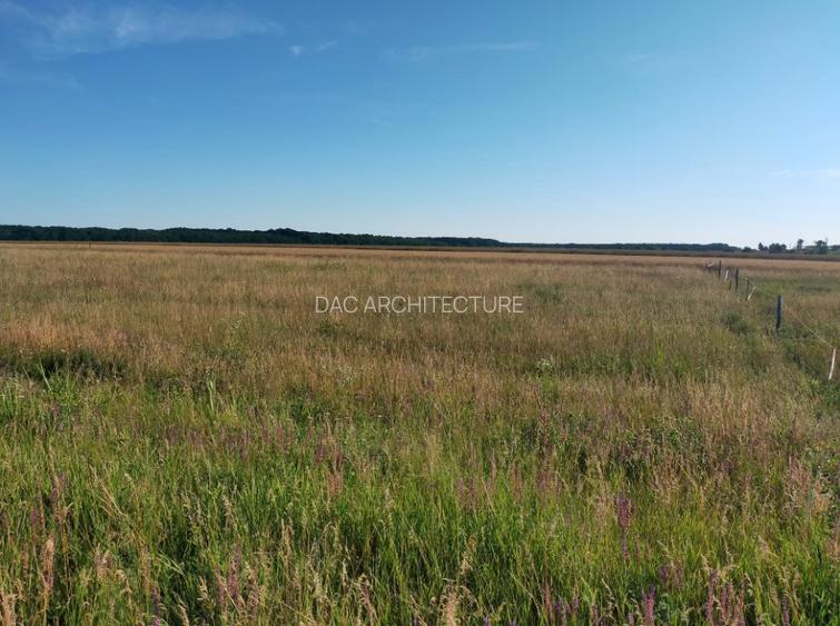 TEREN INTRAVILAN 794 MP MOARA VLASIEI / GRADISTEA - 2