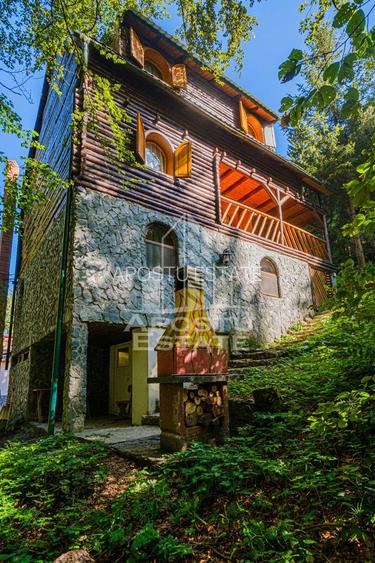 Pensiune, casa de vacanta, 6 camere, statiunea Rausor din Hunedoara - 8