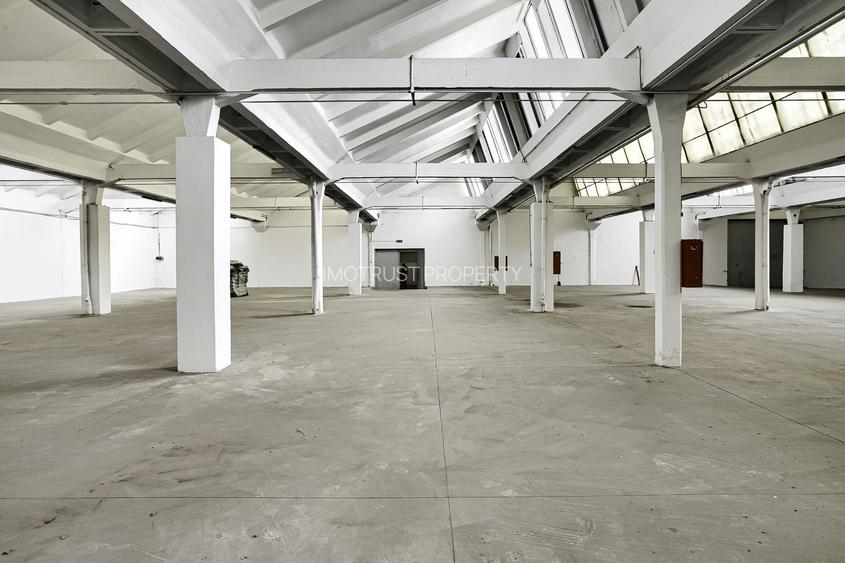 Hala Industriala de inchiriat 1.174 mp cu rampa egalizatoare, Arad - 5