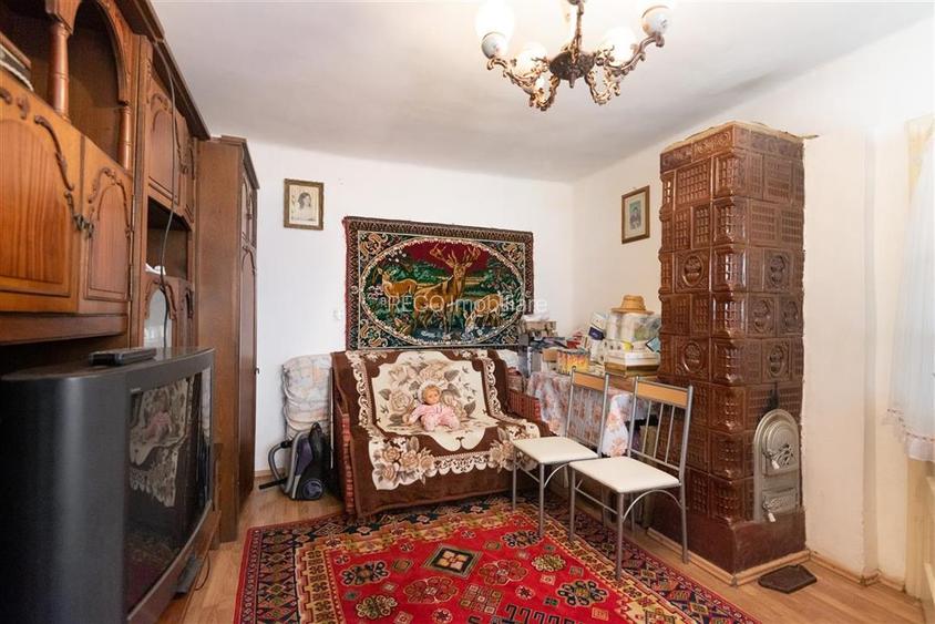 Teren mare cu 2 case si front la 2 strazi in Tamaseu - 13