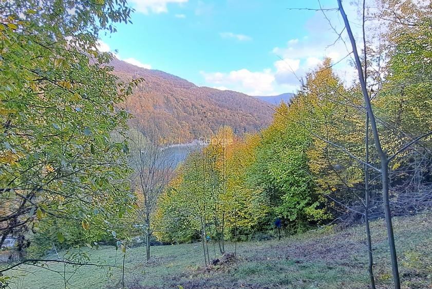 Vand teren cu vedere la lac, Valea Doftanei,Strada Lacului - 2