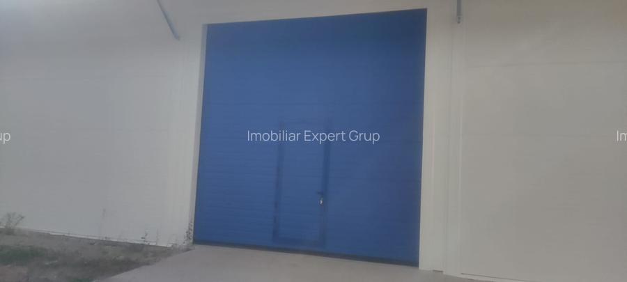 Hala noua 600 mp Giurgiului ( Progresul ) - 5