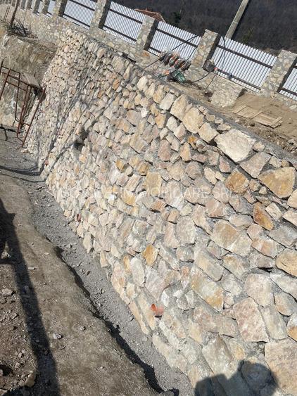 Svinita, teren la Dunare - 8