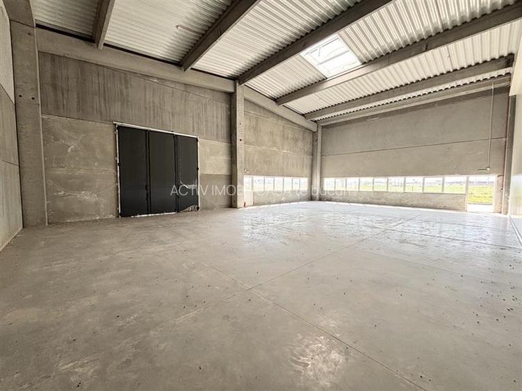 Hale industriale de vanzare – Oradea, adiacent Parcului Industrial I - 11