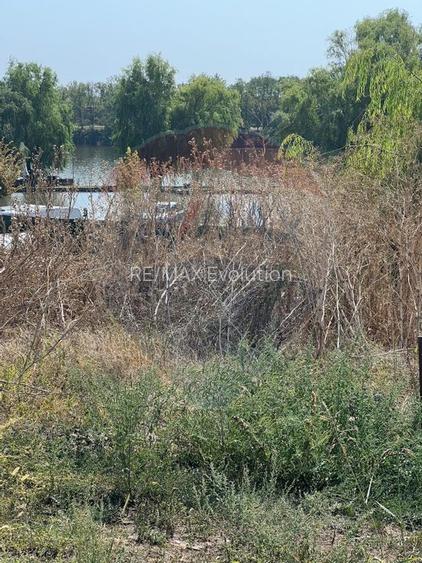 Teren de vanzare / 2,500 mp pe Malul Lacului Tancabesti /Ilfov - 12