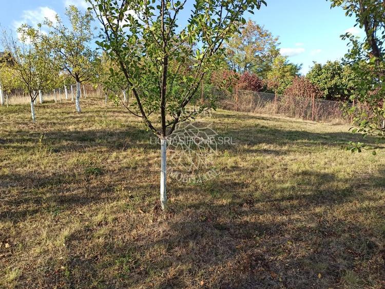 Teren intravilan 730 mp-livada-vedere panoramica-Valea Sigmirului - 6