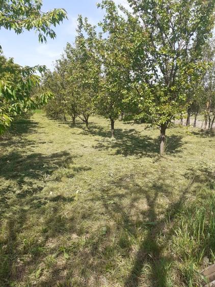 Casă de vânzare Vișag - 7